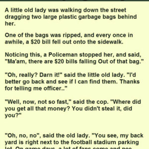 WOMAN GET STOPPED BY A POLICE OFFER FUNNY JOKE