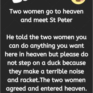 Two women go to heaven and meet St Peter