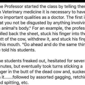 The Professor..