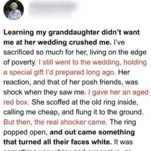 Girl Mocks Poor Grandma for Cheap Old Ring She Gifts Her, Throws It Away and It Opens