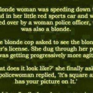 A blonde…