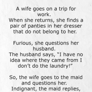 A wife, husband and maid funny story