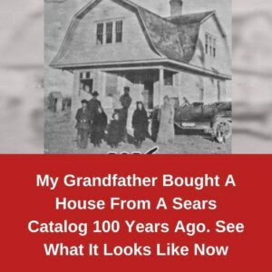 My Grandfather Bought A House From A Sears Catalog 100 Years Ago. See What It Looks Like Now