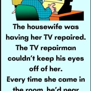 The housewife was having her TV repaired.