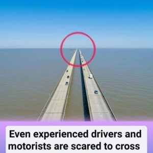 Even experienced drivers and motorists are scared to cross this bridge.