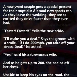 A newlywed couple…