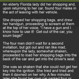 This Old Lady Was Shocked When They Tried To Steal Her Car But What Followed Is Gold