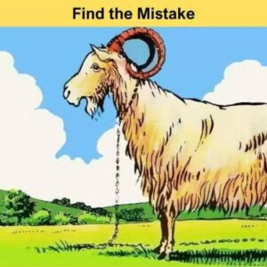 “Brain Teaser Challenge”: In five seconds, identify the mistake in the image