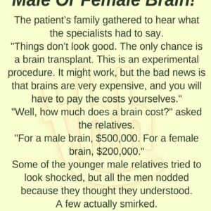 MALE OR FEMALE BRAIN!(FUNNY STORY)