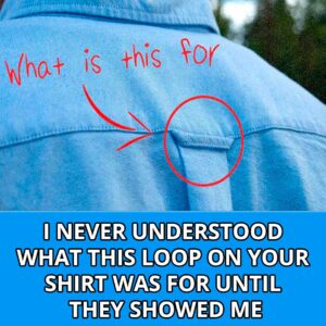 Why Button-Down Shirts Have Loops On the Back