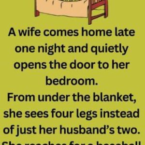 Funny Joke – A wife comes home late one night