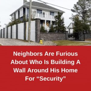 Neighbors Are Furious About Who Is Building A Wall Around His Home For “Security”