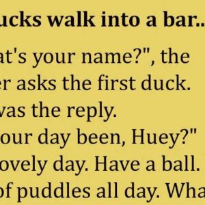 Three ducks walk into a bar