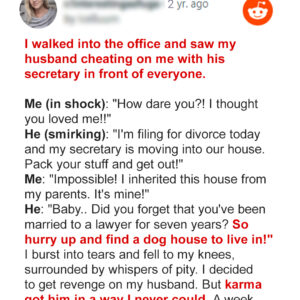 Husband Cheats on Wife With Secretary, Then Karma Hits Him Back – Story of the Day