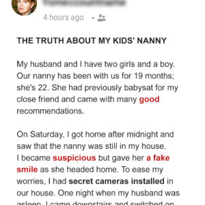 I Suspected My Husband Was Cheating with the Nanny of Our 3 Kids & Installed Hidden Cameras to Prove It