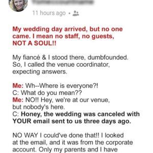 My Wedding Planner Said I Canceled My Own Wedding but I Didn’t – The Truth Left Me Speechless