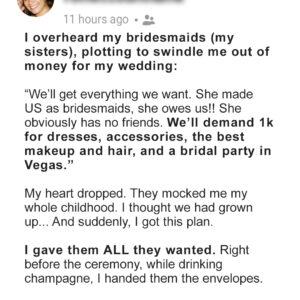 I Overheard My Bridesmaids Plotting to Swindle Me Out of Money for My Wedding – I Gave Them All & Overplayed Them