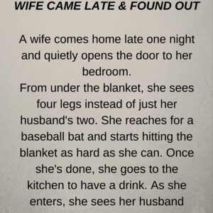 WIFE CAME LATE & FOUND OUT (FUNNY SH0RT STORY)