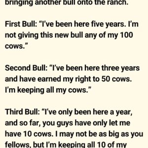 Three bulls heard the rancher was bringing another bull onto the ranch