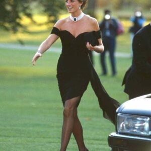 Rare Photographs Of Diana