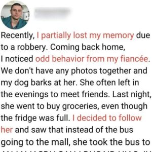 Woman Rescues a Man Who Has Lost His Memory and Tells Him She is His Fiancée