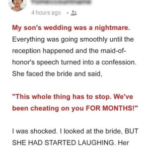 My Son’s Wedding Turned out to Be a Nightmare after the Maid-of-Honor’s Speech