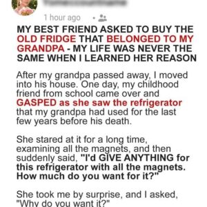 My Best Friend Asked to Buy Old Fridge That Belonged to My Grandpa – My Life Was Never the Same When I Learned Her Reason