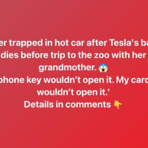 Toddler trapped in Tesla after battery dies, locking grandmother out of vehicle