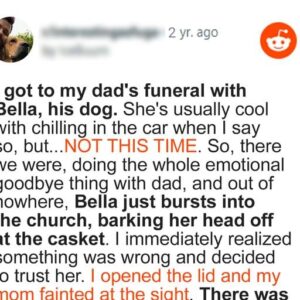 Dog Barks at Coffin during Funeral, Suspicious Son Opens It and Finds It Empty