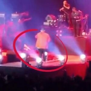 Singer electrocuted to death at concert after he got wet from hugging fan. The video is hard to watch