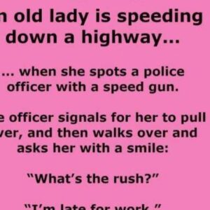 A cop pulls over an old lady for speeding