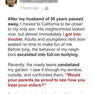 My New Neighbors Bullied Me, So My Only Son Helped Me Teach Them a Valuable Lesson