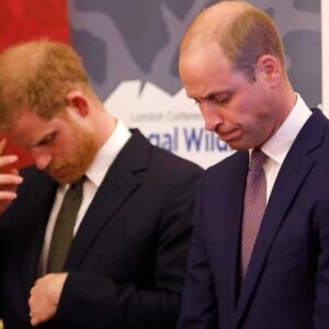 Harry and William rocked by shock family death