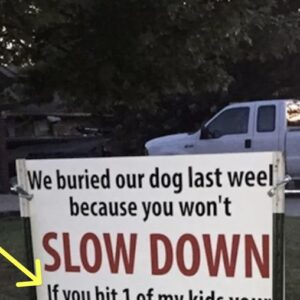 After Dog Gets Hit By Car, Sign Has The Entire Neighborhood Talking