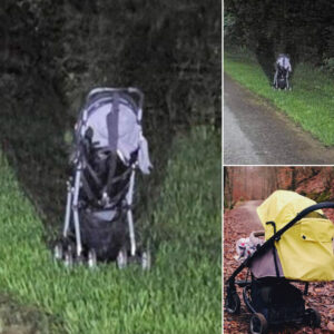 If you find an abandoned stroller at the roadside, here’s why you might want to wait before getting out of your vehicle