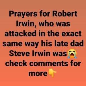 Prayers for Robert Irwin