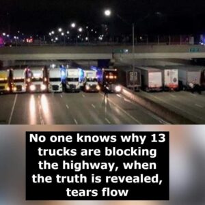 No one understands why 13 trucks are blocking the roadway