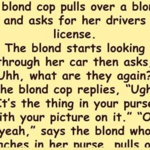 A blond cop pulls over a blond and asks for her drivers license.