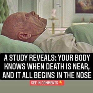 Did You Know You This? Scientists Have Found Evidence That Your Sense of Smell Could Predict Your Time of Death