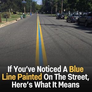 If you’ve noticed a blue line on the street, here’s what it actually means