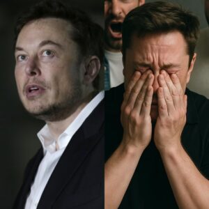 The Face of Elon Musk Has Been Destroyed Amid a Storm of Public Anger The Face of Elon Musk Has Been Destroyed Amid a Storm of Public Anger