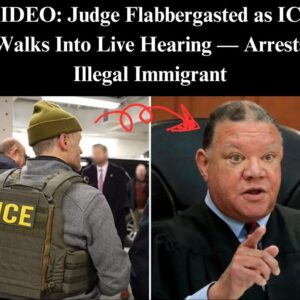 Judge Holds ICE Agent In Contempt For Detaining Illegal Migrant During Trial Judge Holds ICE Agent In Contempt For Detaining Illegal Migrant During Trial