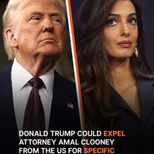 Amal Clooney at Risk of US Entry Amal Clooney at Risk of US Entry