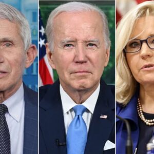 Biden Pardons For Cheney, Fauci, Others Could Backfire: Legal Expert Biden Pardons For Cheney, Fauci, Others Could Backfire: Legal Expert