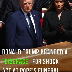 Donald Trump ‘disrespected’ protocol at Pope Francis’ funeral Donald Trump ‘disrespected’ protocol at Pope Francis’ funeral