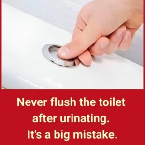 Why is it so important not to flush the toilet after every trip to the toilet to urinate? Why is it so important not to flush the toilet after every trip to the toilet to urinate?