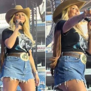 Miranda Lambert Stops Another Concert and Finally Responds to the ‘Selfie Backlash’