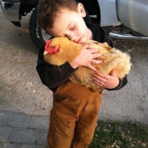 HE WOULDN’T LET GO OF THE CHICKEN—AND I DIDN’T HAVE THE HEART TO TELL HIM WHY SHE WAS MISSING YESTERDAY HE WOULDN’T LET GO OF THE CHICKEN—AND I DIDN’T HAVE THE HEART TO TELL HIM WHY SHE WAS MISSING YESTERDAY