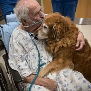 He Patient Kept Plea for ‘Murphy’—A Name That Left Everyone Puzzled