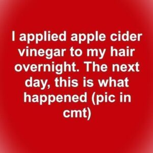 Apple Cidde Vingear Apple Cidde Vingear
